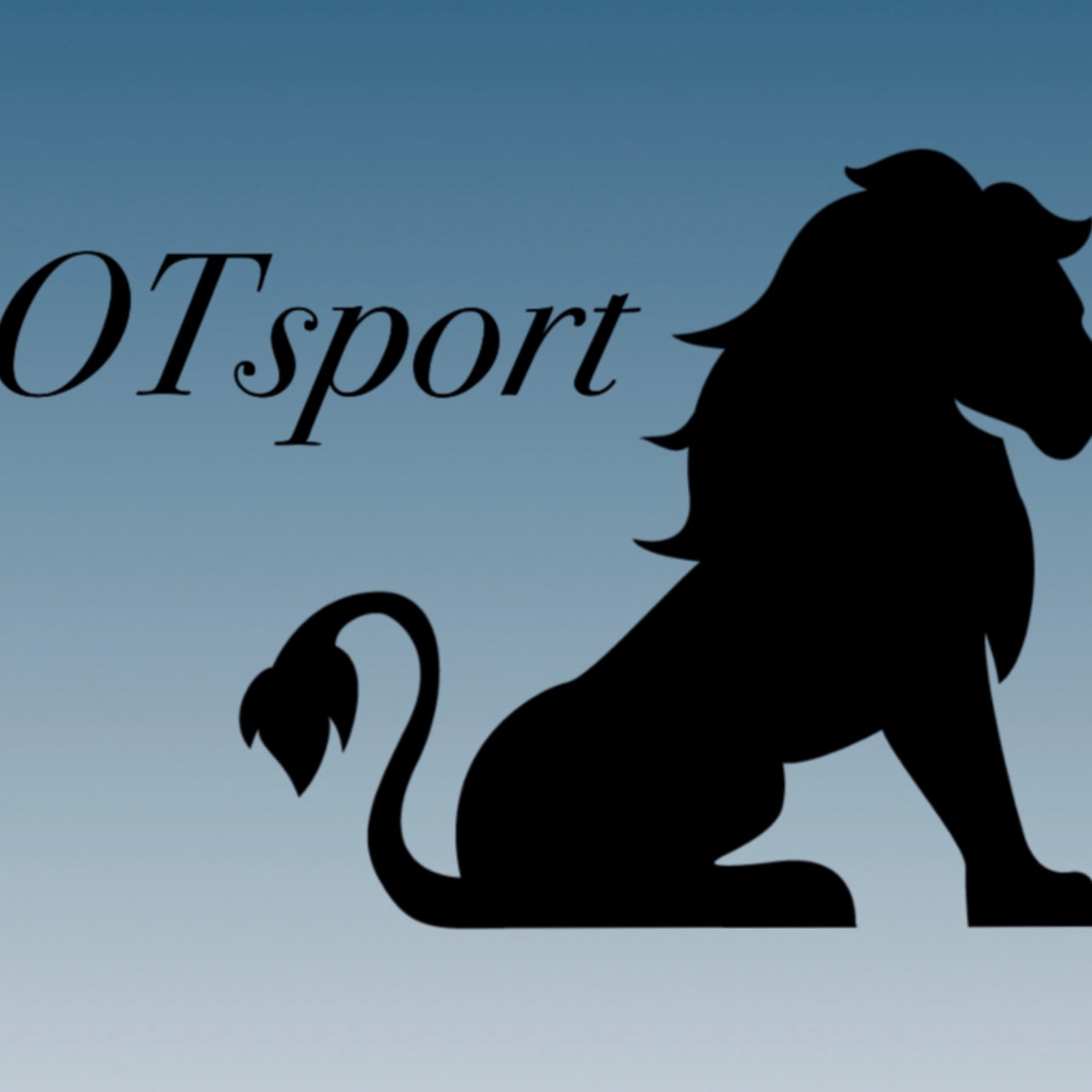 OTsport 